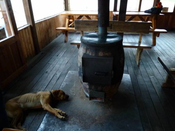 Cão dorme próximo ao fogareiro para se esquentar, no restaurante do camping Falkner, no parque Lanin, na região de San Martín de Los Andes, na Argentina